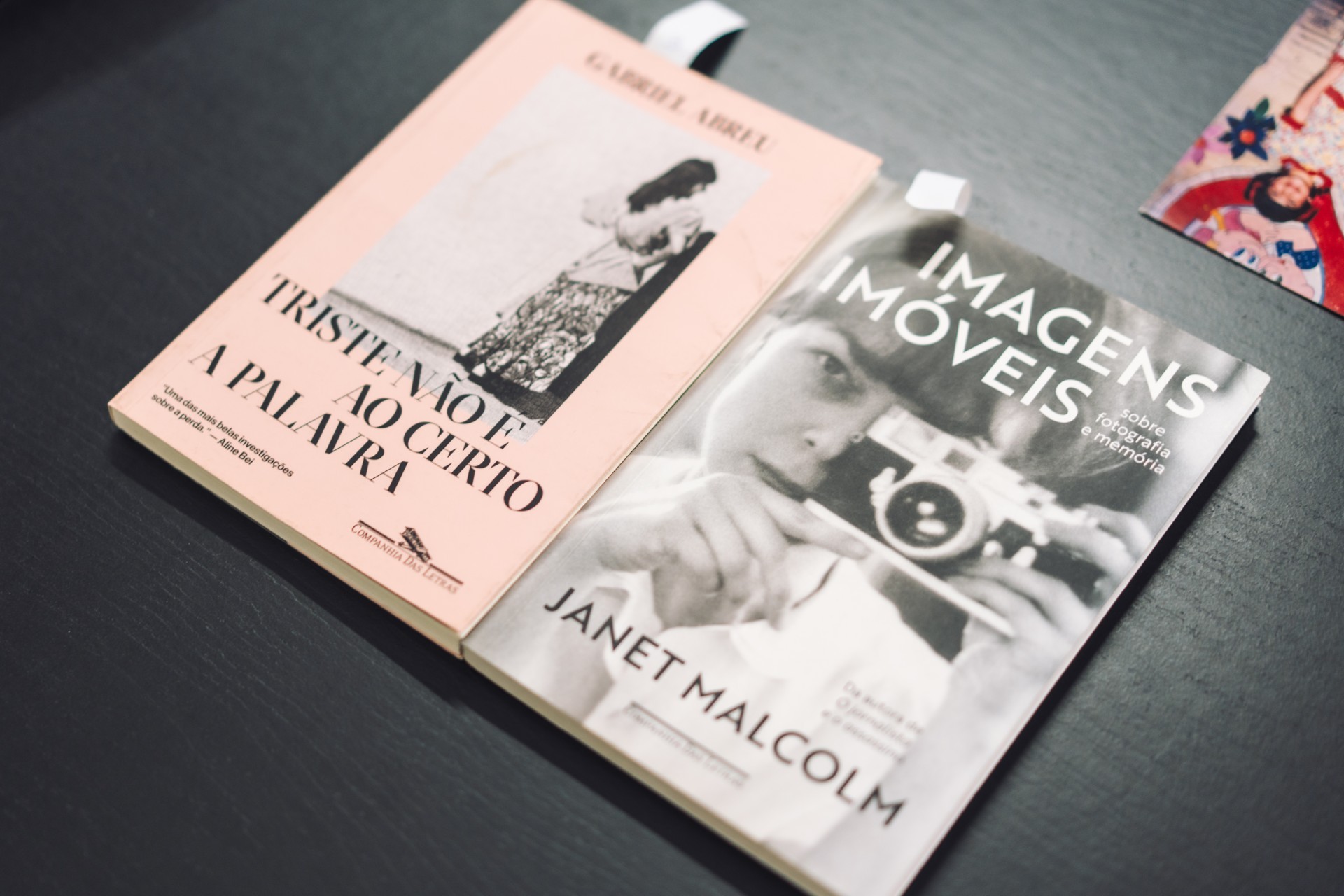 Foto: Camila de Almeida/Es&uacute;dio Voa