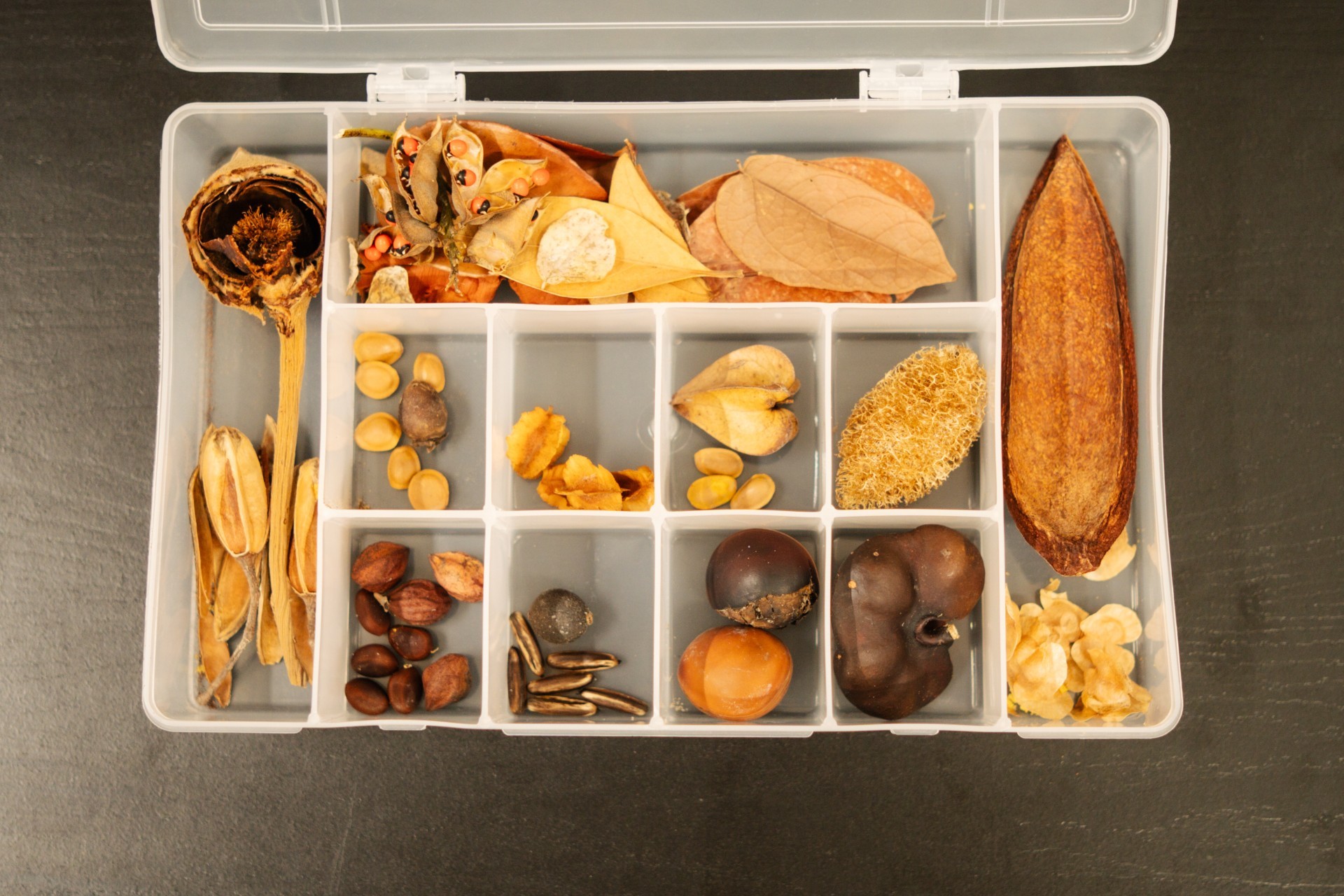 Foto: Est&uacute;dio Voa